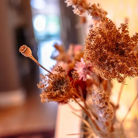 Bright Garden Flat, Private Sauna, Parking * Bristol