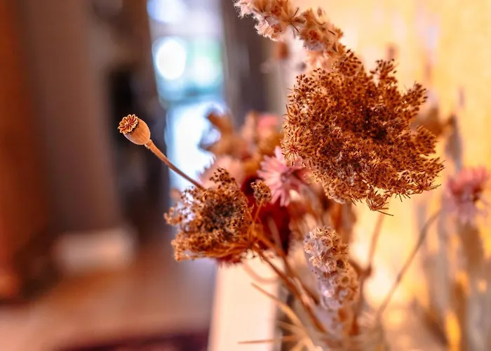 Bright Garden Flat, Private Sauna, Parking * ブリストル